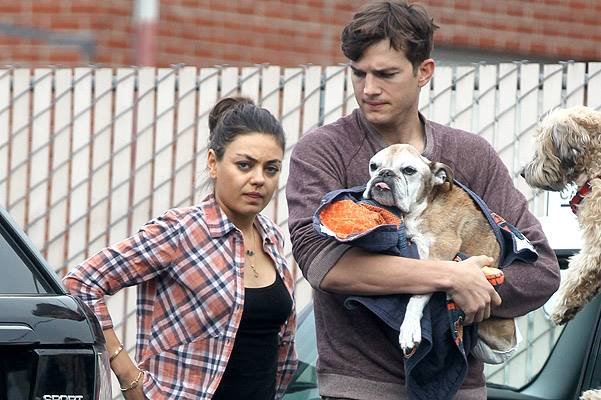 Ashton Kutcher and Mila Kunis go to allegedly put his beloved dog down