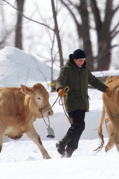 Robert Pattinson pulls a bull through the snow during the filming of 'Life' in Canada