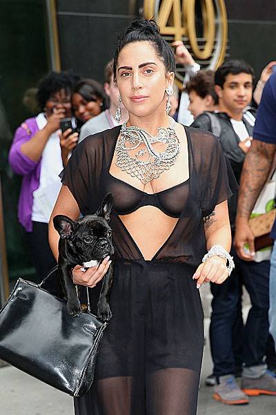 Lady Gaga wears a see-through outfit when out and about with her dog Asia in NYC