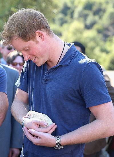 Prince Harry Visits Chile - Day 3