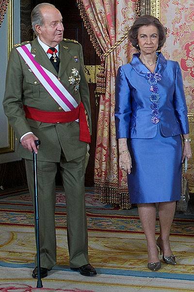 Spanish Royals Attend An Audience for the National Armed Forces Day 2014
