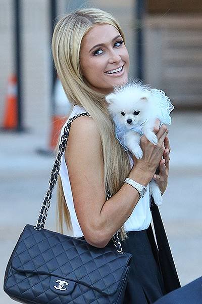 Paris Hilton and her $13k pooch take a shopping trip to Barney's - Part 2