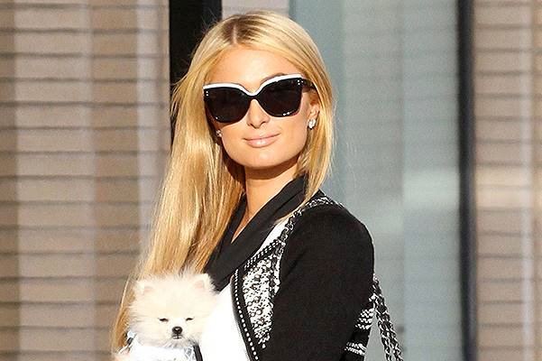 Paris Hilton takes her $13k Pomeranian puppy shopping in Beverly Hills