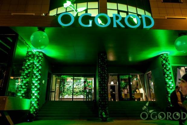 Ogorod